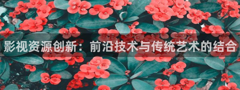 私人汤姆影院：影视资源创新：前沿技术与传统艺术的结合