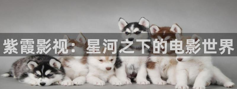 首页汤姆影视