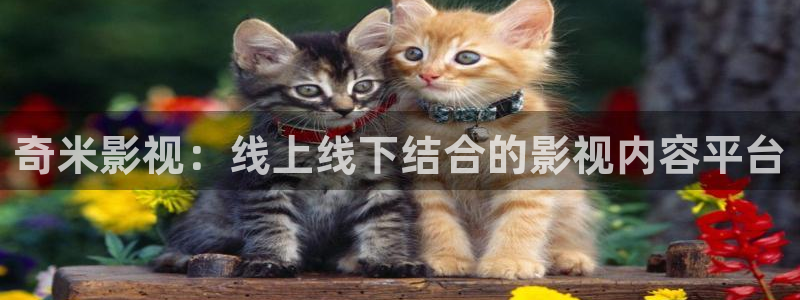 汤姆影视城