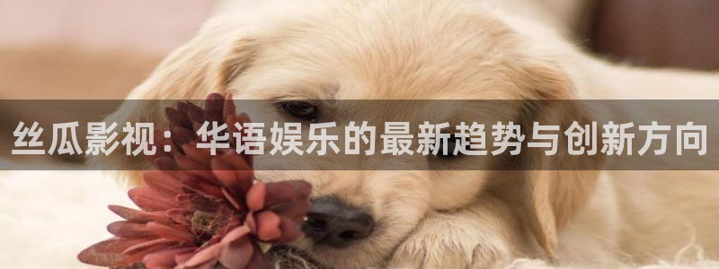 汤姆高清影院在线观看