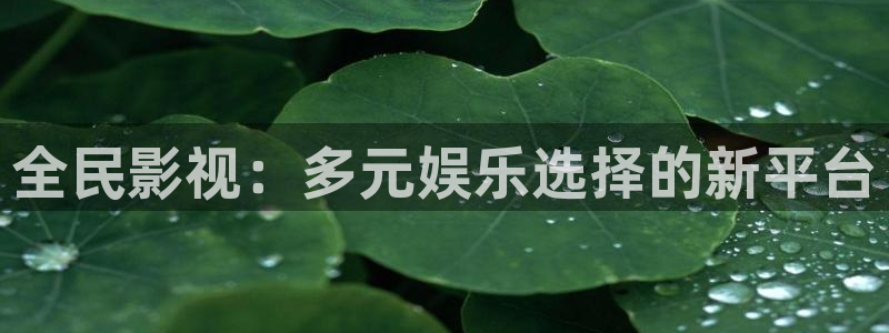 汤姆tom影院最新版下载