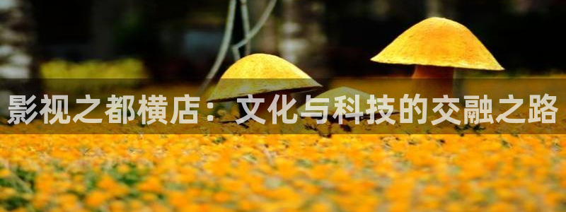 汤姆影院最新地址