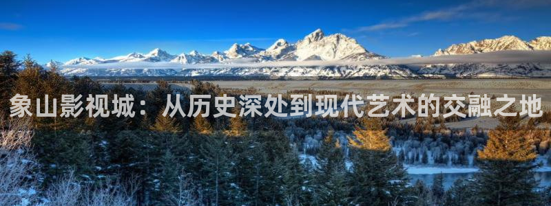 汤姆影院入口在线