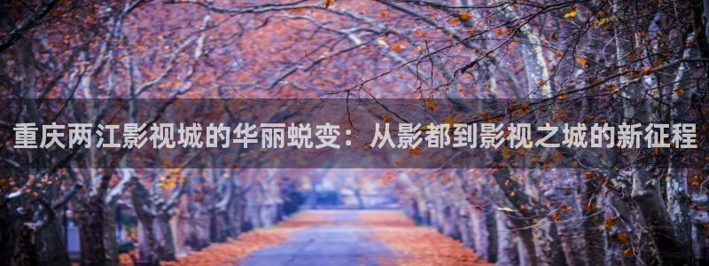 汤姆影院免费